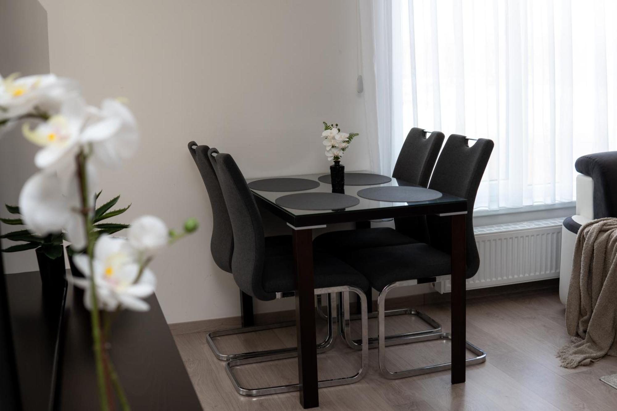 Bnb New Beautiful Apartment In The Center Of Ostrava With Option Garage Parking Εξωτερικό φωτογραφία
